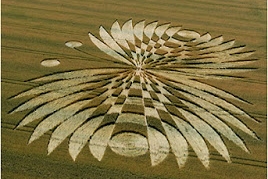 Crop circle  - butterfly